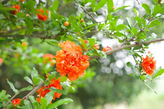 C9DB366E24662C7B7F091D1793EDEC99